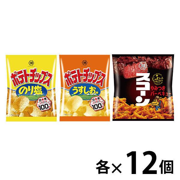 湖池屋 スナック菓子 小袋 3種アソート のり塩 うすしお スコーン 各12袋 コーンスナック おすすめ特集 ポテトチップス