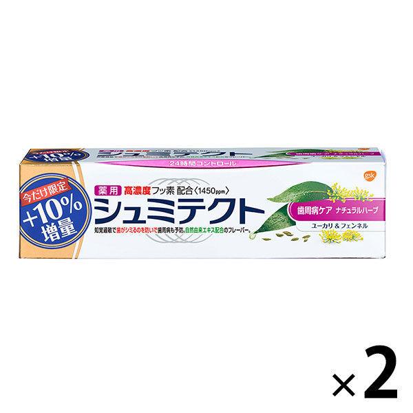 公式サイト 増量 薬用シュミテクト 歯周病ケア ナチュラルハーブ 99g 1セット 2本