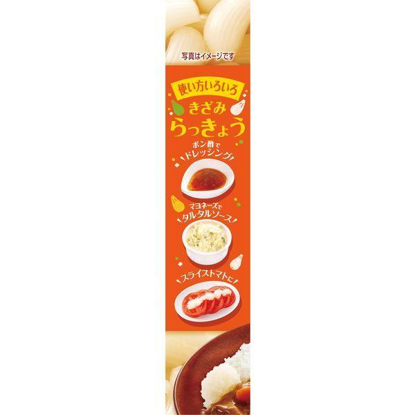 エスビー食品 SB カレープラス きざみらっきょう 2個 チューブ|y-lohaco|03