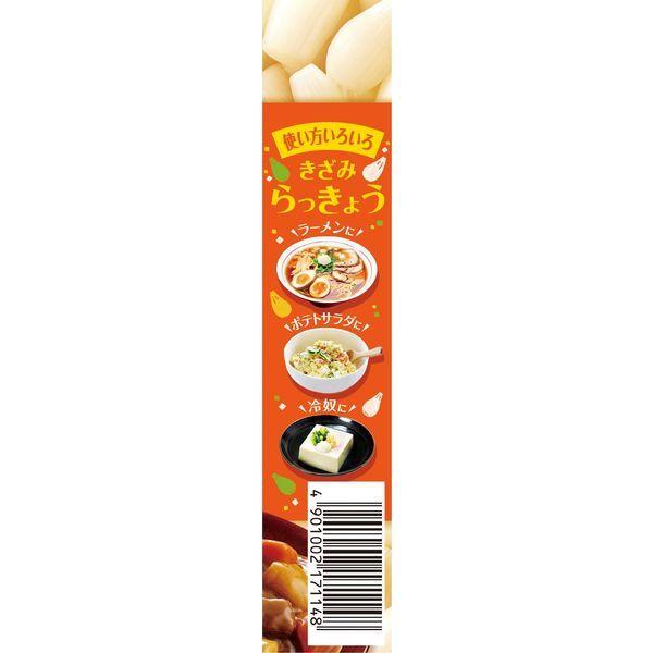 エスビー食品 SB カレープラス きざみらっきょう 2個 チューブ|y-lohaco|04