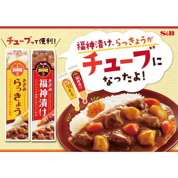エスビー食品 SB カレープラス きざみらっきょう 2個 チューブ|y-lohaco|06