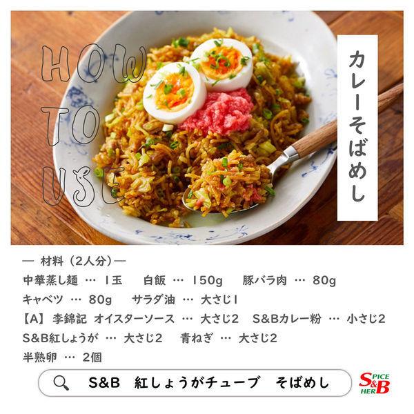 最大67 オフ エスビー食品 Sb 紅しょうが 10個 チューブ Riosmauricio Com