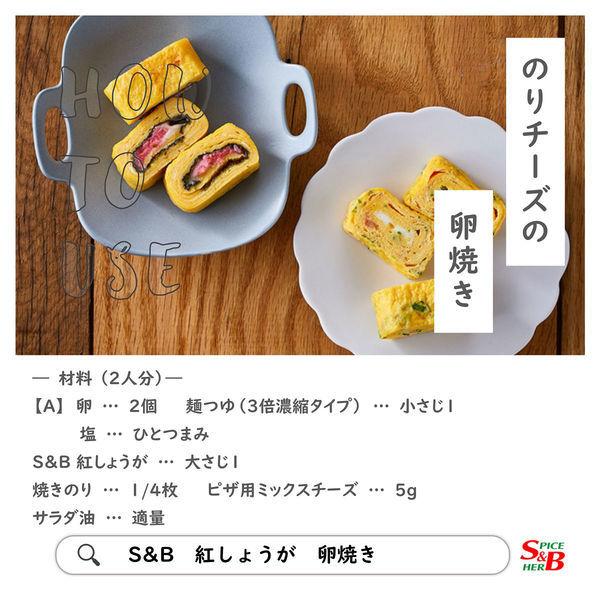 最大67 オフ エスビー食品 Sb 紅しょうが 10個 チューブ Riosmauricio Com