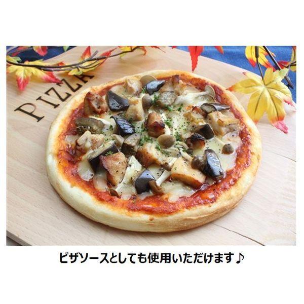 カゴメ トマトガーリックソース 465g 1セット(3本入)|y-lohaco|08