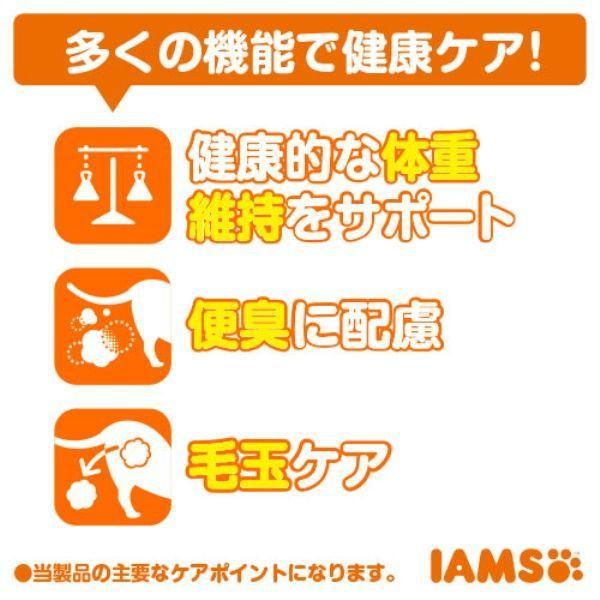箱売り アイムス 成猫用 インドアキャット チキン 5kg 2袋 マース キャットフード 猫 ドライ|y-lohaco|06