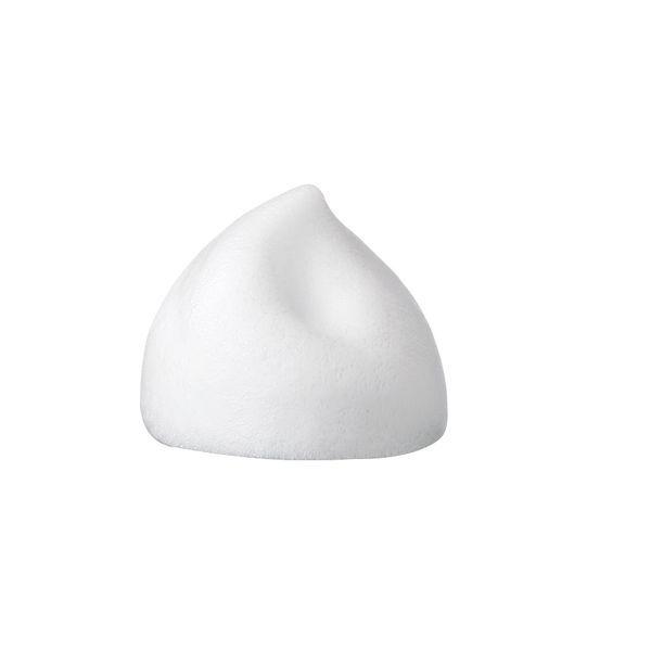 FANCL(ファンケル) ピュアモイスト泡洗顔料 150mL(約60回分)|y-lohaco|02