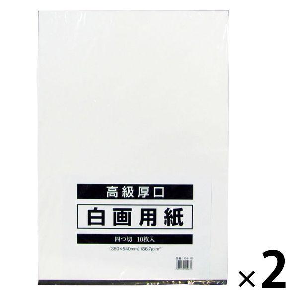 今村紙工 白画用紙 四切 G4-10 2包（10枚入×2）