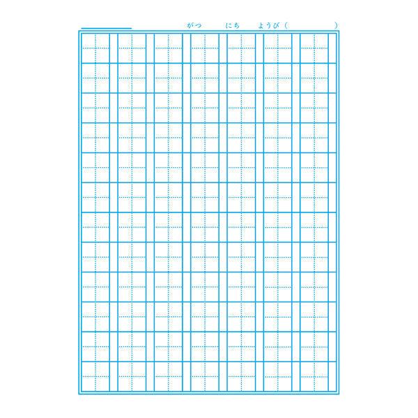 ショウワノート ジャポニカ学習帳 かんじれんしゅう 漢字 B5 84字 最大79 オフ Jl 49 2冊312円 十字リーダー入り