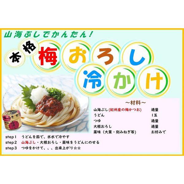 磯じまん 練梅 山海ぶし 紀州産南高梅干100%使用 105g 1セット(6個)|y-lohaco|04