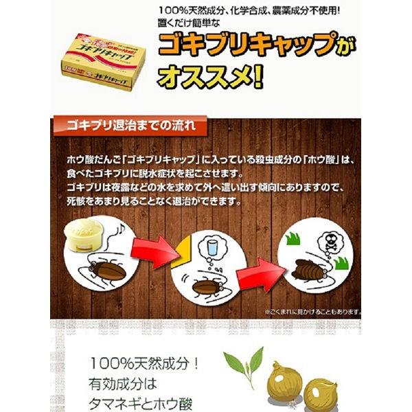 57 以上節約 ゴキブリキャップ ゴキブリ専用 殺虫剤 1箱 30個 タニサケ2 350円 Aynaelda Com