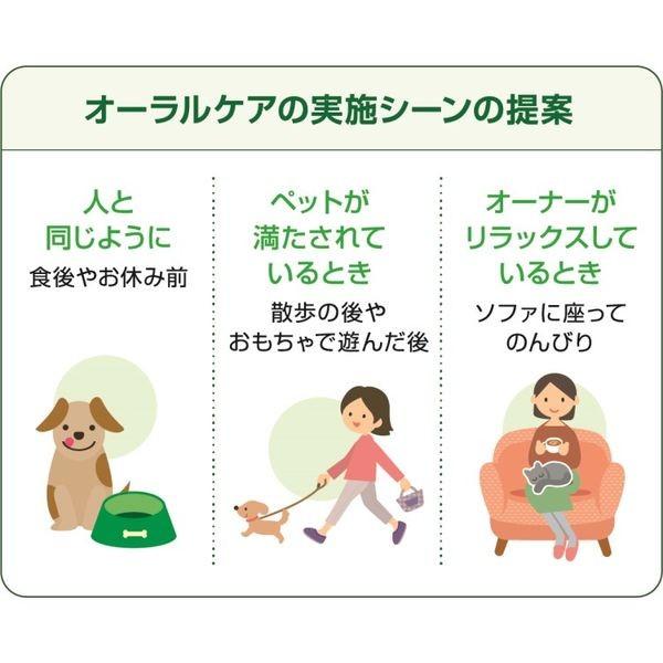 上質で快適 ペットキッス 食後の歯みがきガム 無添加 小型犬用 国産 1g 約本 ドッグフード 犬 おやつ 歯磨き560円 Whitesforracialequity Org