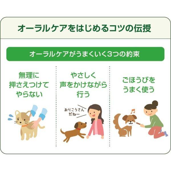 上質で快適 ペットキッス 食後の歯みがきガム 無添加 小型犬用 国産 1g 約本 ドッグフード 犬 おやつ 歯磨き560円 Whitesforracialequity Org