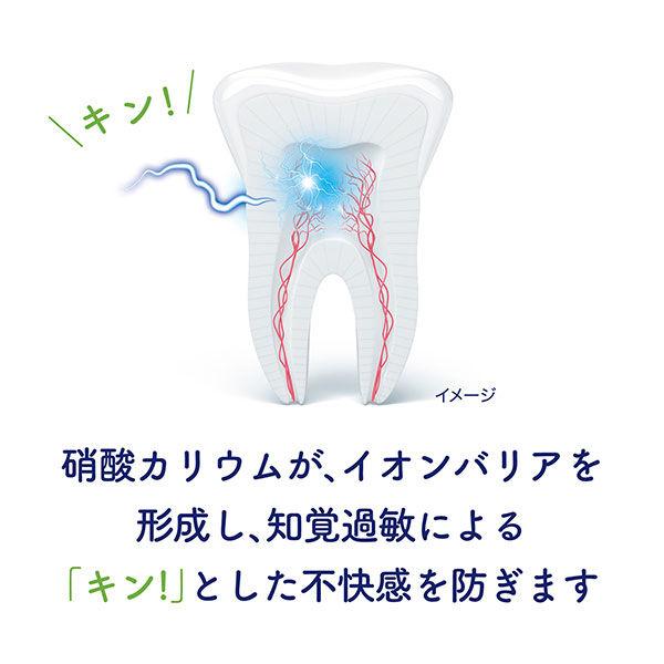 薬用シュミテクト 歯周病ケア ナチュラルハーブ 90g グラクソ・スミスクライン 歯磨き粉