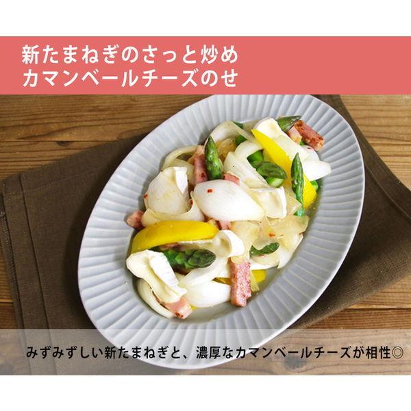 ケンコーマヨネーズ スパニッシュアヒージョソース 505g 2本|y-lohaco|05