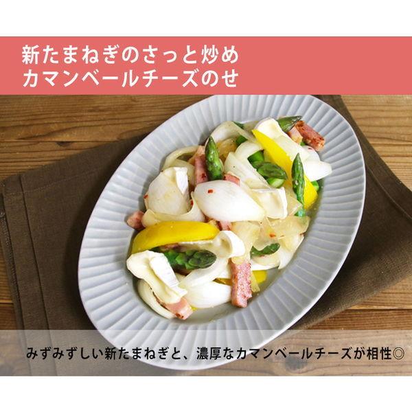 ケンコーマヨネーズ スパニッシュアヒージョソース 505g 3本 :X959208:LOHACO Yahoo!店 - 通販 - Yahoo!ショッピング