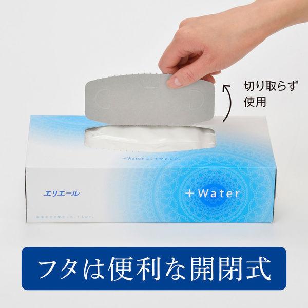 ティッシュペーパー 保湿 180組 5箱入 エリエール Water 1ケース 10パック 大王製紙 引出物
