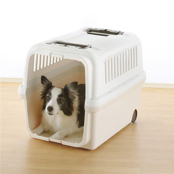 キャンピングキャリー L アイボリー〔ペット用品〕 キャンピングキャリー 店舗