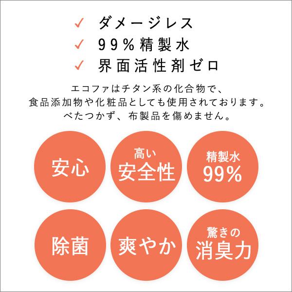 【超激レア】 エコファ ウィルス・細菌・シックハウス対策スプレー(300mlタイプ)ウィルス、細菌、有害物質の除菌＆分解、抗菌、消臭効果【ECOFUR】24本セット 【B3363179397】(21524円)