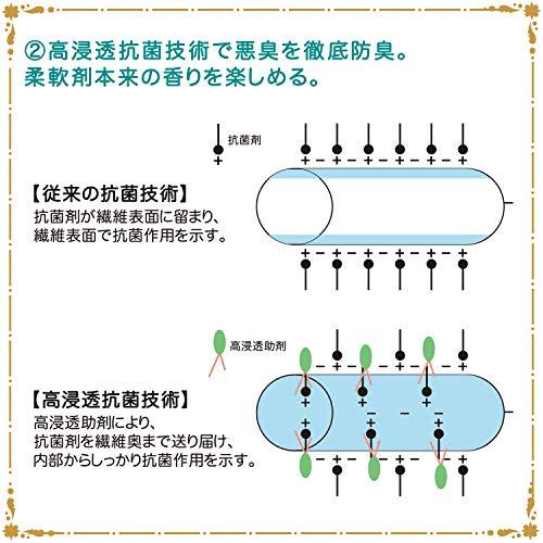 【まとめ買い】【ケース販売】 ファーファストーリー 洗剤あわあわウォッシュ 900g 詰替×12個｜y-mahana｜07