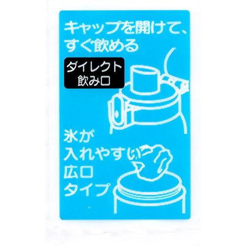 スケーター 子供用 水筒 480ml となりのトトロ メイ ジブリ 日本製 女の子 PSB5SAN｜y-mahana｜07