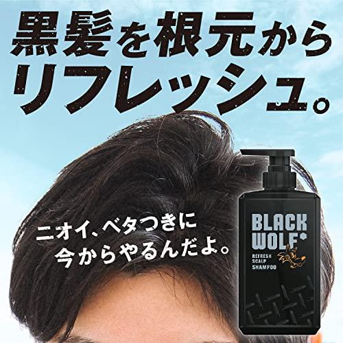 大正製薬 BLACK WOLF(ブラックウルフ)リフレッシュ シャンプー+ 