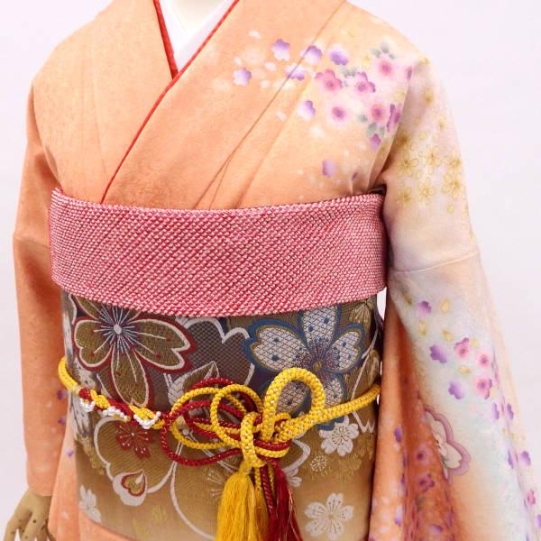 正絹振袖・半衿付き長襦袢・帯・帯揚・帯〆・重衿付き6点セット 正絹振袖・半衿付き長襦袢・帯・帯揚・帯〆・重衿付き6点セット