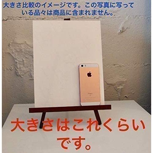 デニスリチャーズ Denise Richards 輸入 写真 洋画 約20.3x25.4cm