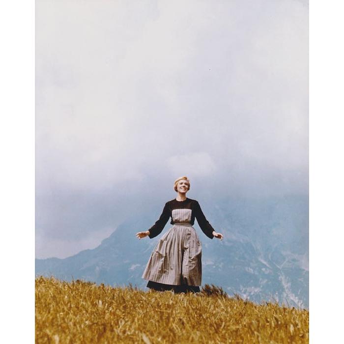 サウンドオブミュージック ジュリーアンドリュース 輸入 写真 約20.3