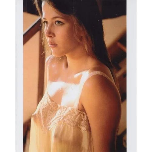 ソフィーマルソー (左右1.5cmが白地です) 輸入 写真 Sophie Marceau