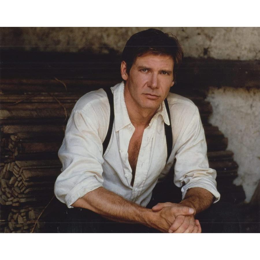 直筆サイン　ハリソンフォード　ジョシュハートネット 刑事ジョンブック ハリソンフォード Harrison Ford 輸入 写真 約20.3