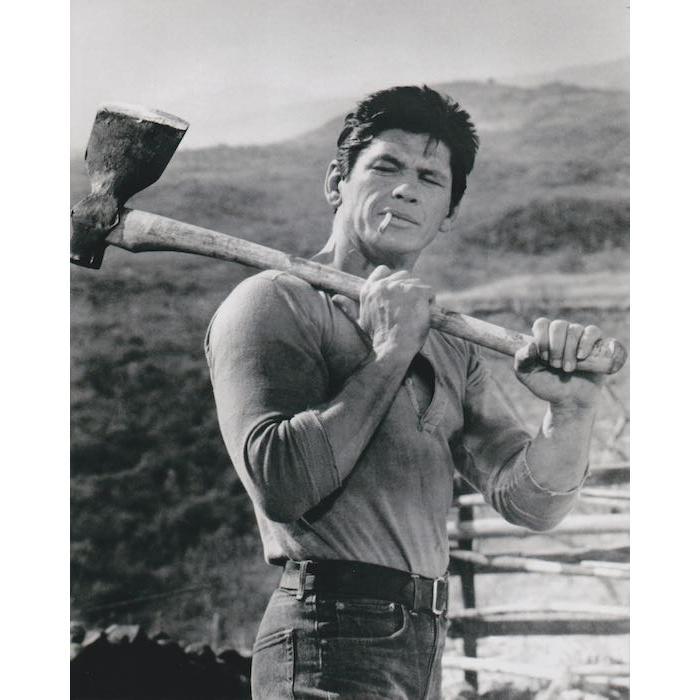 Charles Bronson チャールズブロンソン　ポスター パネル　希少 2026年最新】Yahoo!オークション -チャールズブロンソン ポスターの