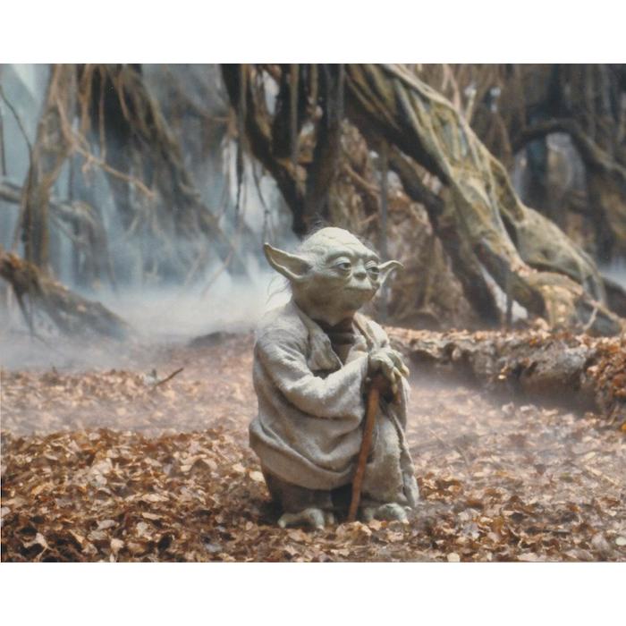 スターウォーズ　ヨーダ　輸入　写真　約20.3x25.4cm　11717d | 