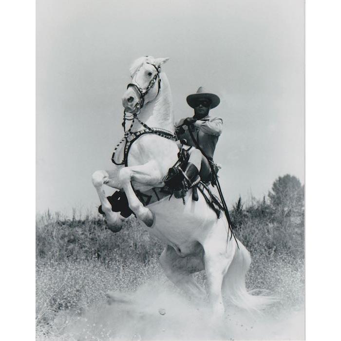 ローン・レンジャー The Lone Ranger 輸入 写真 約20.3x25.4cm 23315