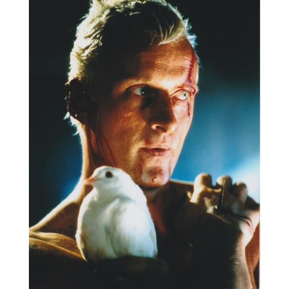 ブレードランナー ルトガーハウアー Rutger Hauer 輸入 写真 30001