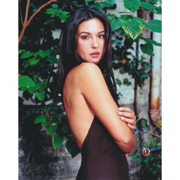 モニカベルッチ Monica Bellucci 輸入 写真 約20.3x25.4cm 30550a