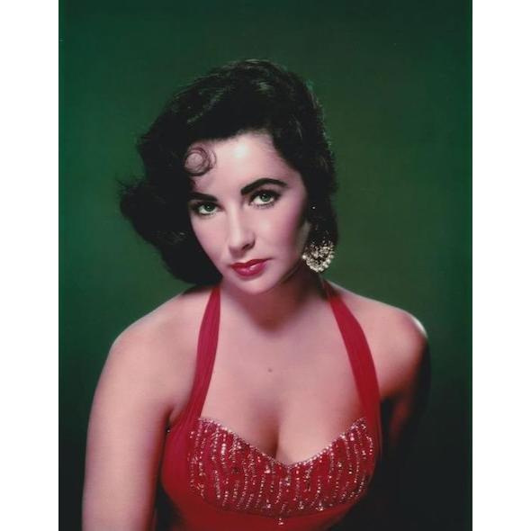 エリザベステイラー Elizabeth Taylor 約20.3x25.4cm 輸入 写真 40184