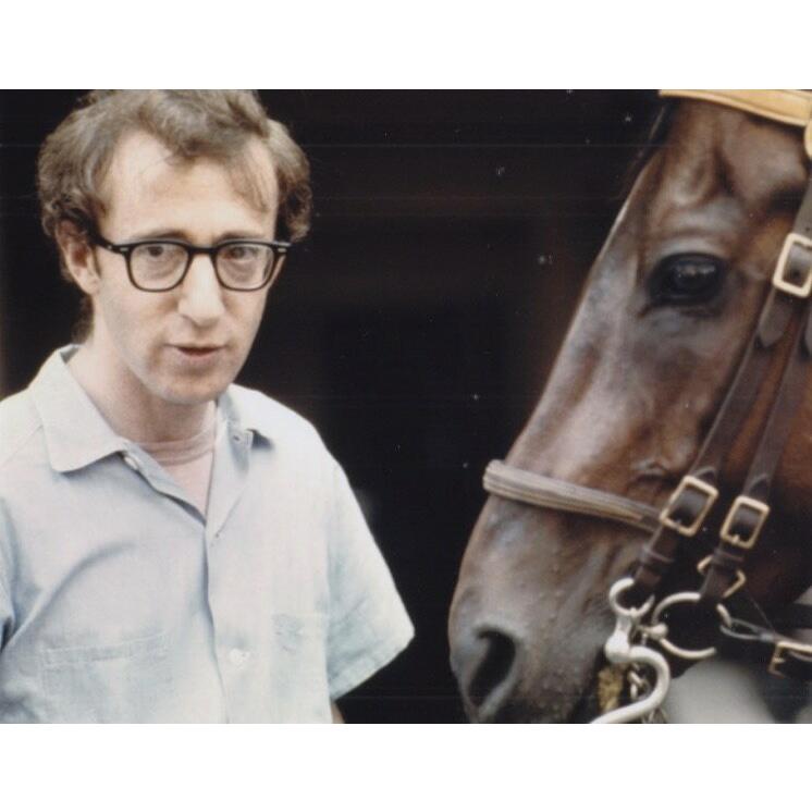 アニーホール　ウディアレン　Woody Allen　輸入　写真　4832、洋画｜y-moviei-mages