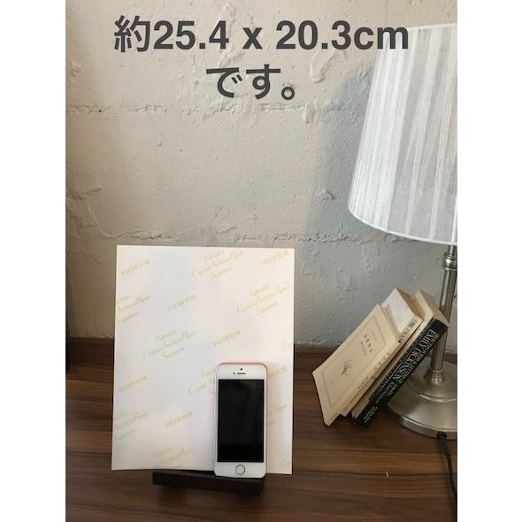 ゴーストインザシェル Ghost in the Shell スカーレット