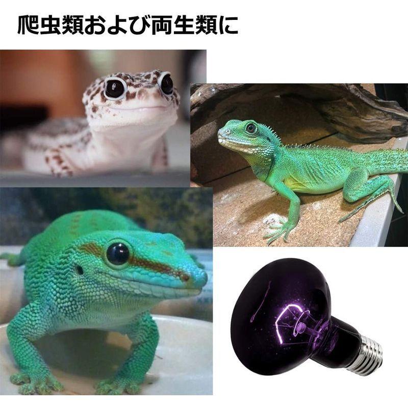 大人気商品 Nomoy 爬虫類ライト 亀 ナイトライト ムーンライト 両生類照明 夜用 強化代謝 電流安定 E27口金 50w Shipsctc Org