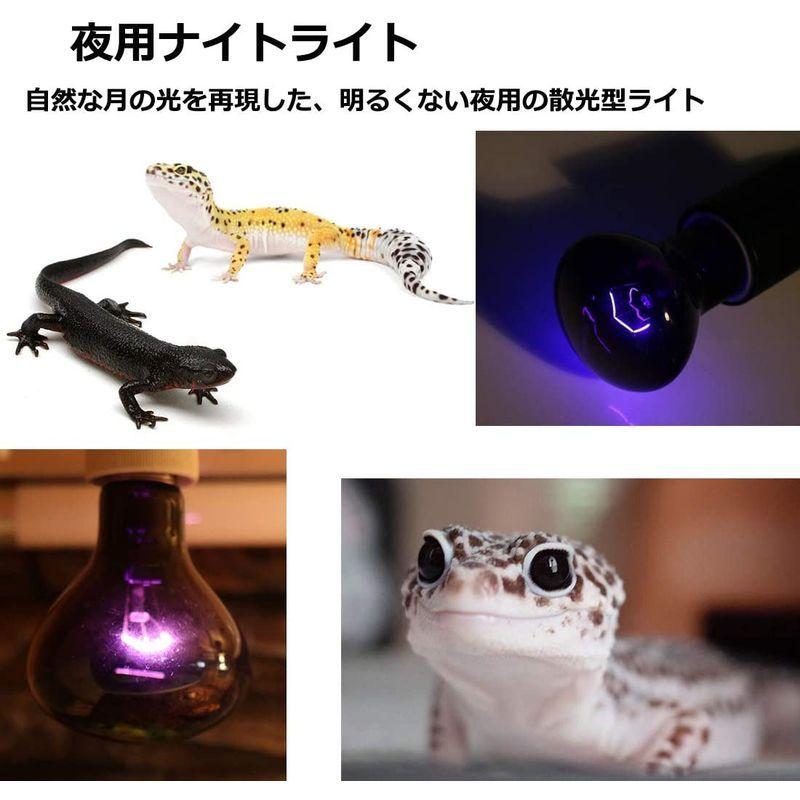 大人気商品 Nomoy 爬虫類ライト 亀 ナイトライト ムーンライト 両生類照明 夜用 強化代謝 電流安定 E27口金 50w Shipsctc Org