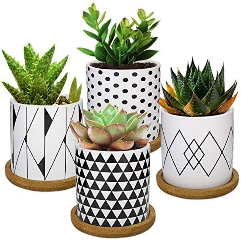 Fenalo 6 4cm サボテン 鉢 多肉植木鉢 ミニ植物容器 おしゃれ 北欧 4点セット プランター陶器 竹製トレイ付き スタイル 2 輝い