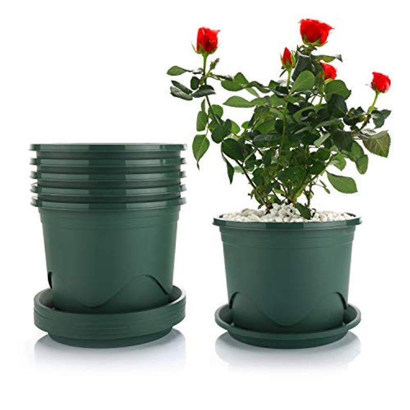 T4u 植木鉢 5号 スリット鉢 プラスチック鉢 根はり鉢 受け皿付き プランター バラ 観葉植物 ハーブ適用 インテリア 6点セット モス 最大99 オフ