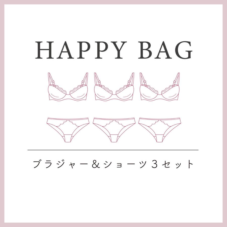 Narue（ナルエー） ナルエー公式 ブラジャー ショーツ 上下セット