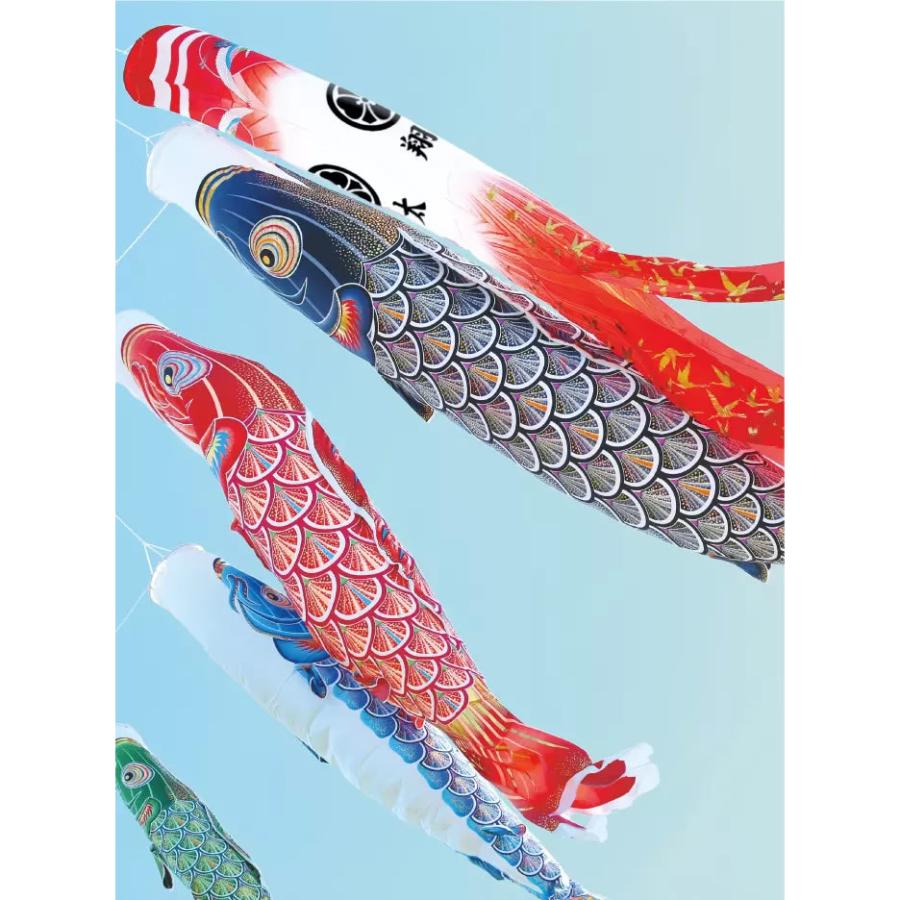 超格安価格 太陽鯉のぼりのみセット 子どもの日 - education.semel