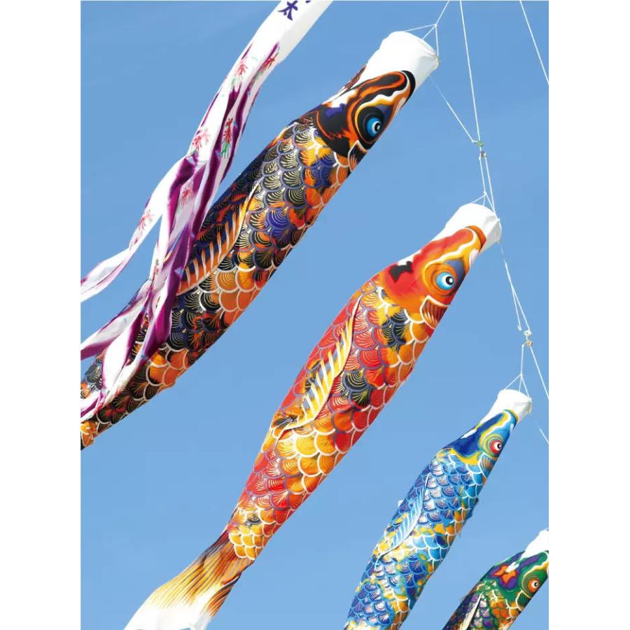 国内外の人気 黄金 輝 大型鯉のぼりセット 4ｍ8点 翔龍吹流し 村上鯉幟 送料無料 Fucoa Cl