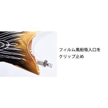 展示品限り】鯉のぼり（室内用)プチ座敷鯉物語羽衣セット80cm