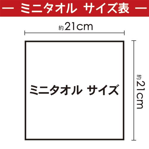 ミニタオル 20×20 ５枚セット おしぼりタオル 子供用 保育園 無地 安い ハンドタオル 21cm×21cm |  | 09