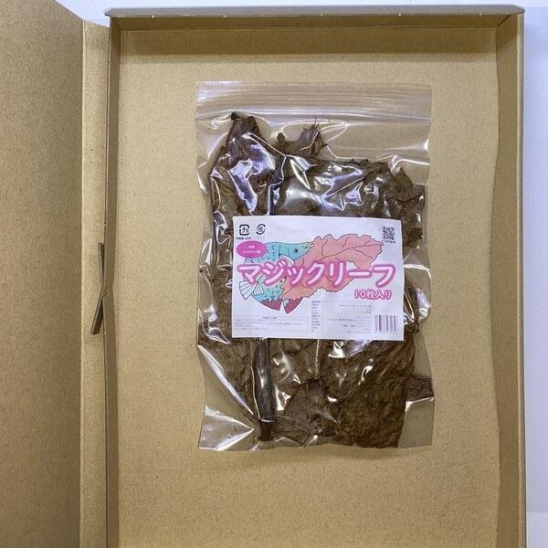 本店 10枚入り マジックリーフ インドネシア産 ネコポス配送 国内正規品