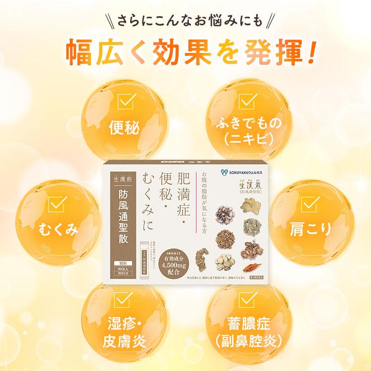 肥満症・便秘 むくみ 90包 ×3箱 公式／第2類医薬品 生漢煎「防風通聖散」(90包入り）※満量処方［漢方