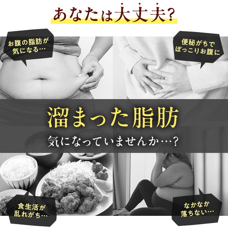 公式／第2類医薬品 生漢煎「防風通聖散」(90包入り）※満量処方［漢方